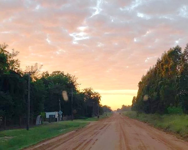 Feldweg zwischen Bäumen bei Sonnenuntergang.