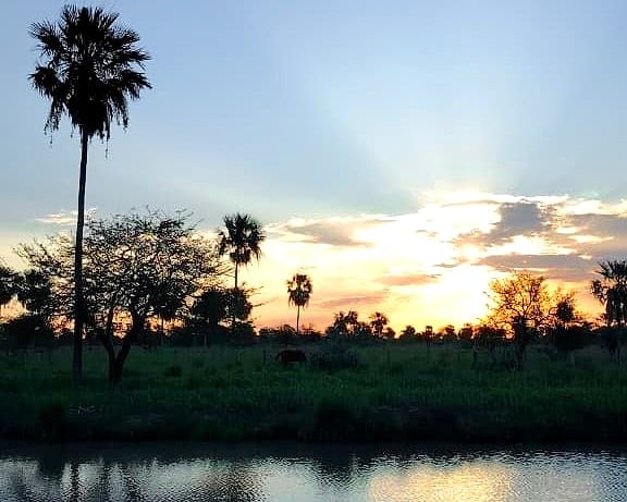 Palmen im Gegenlicht bei Sonnenuntergang, mit Sonnenstrahlen zwischen den Wolken und Wasser im Vordergrund.