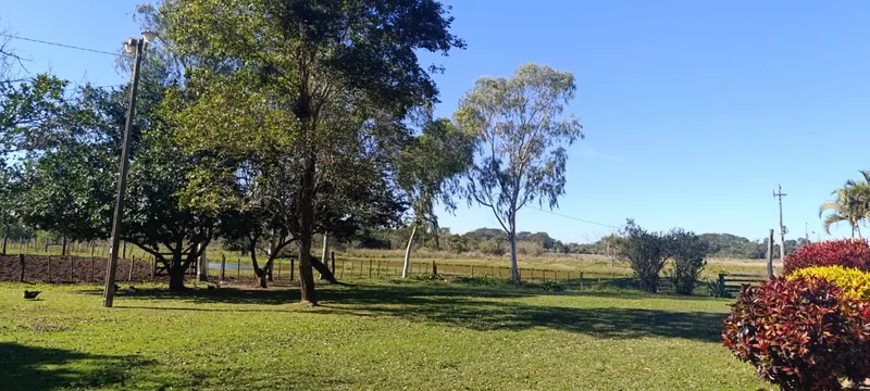 GRANJA (4)