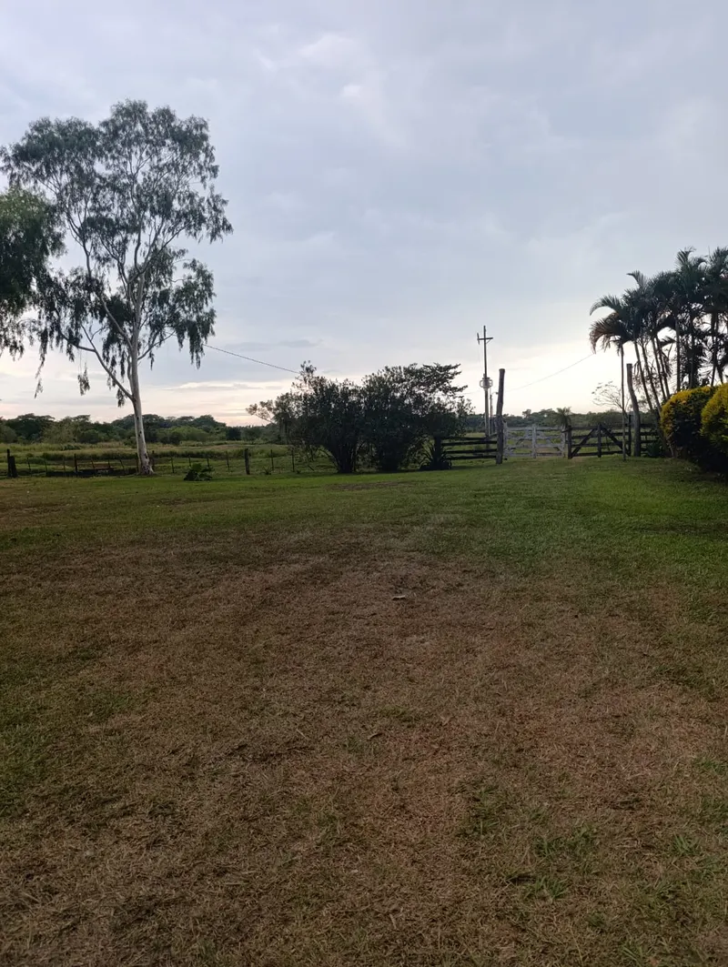 GRANJA (8)