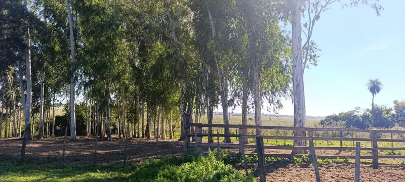 GRANJA