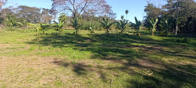 GRANJA (2)