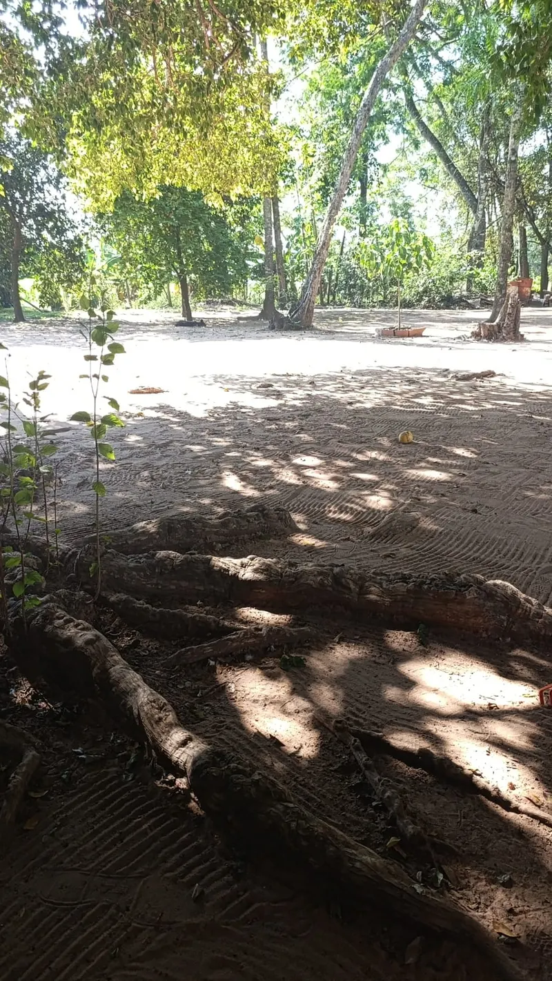 GRANJA (11)