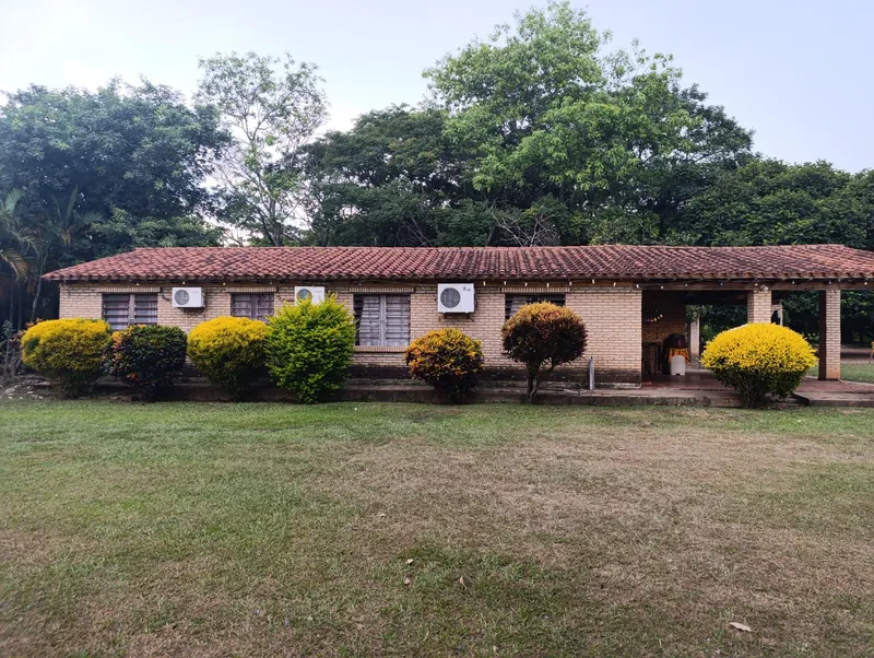 GRANJA (6)