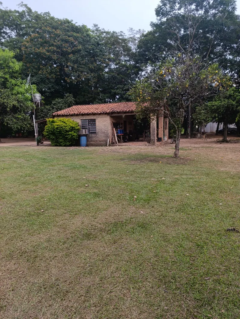GRANJA (7)